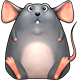 mouse80