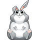 rabbit80