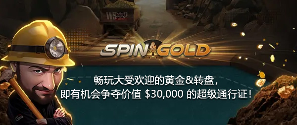 WSOP直通赛 33 img